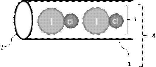 000002